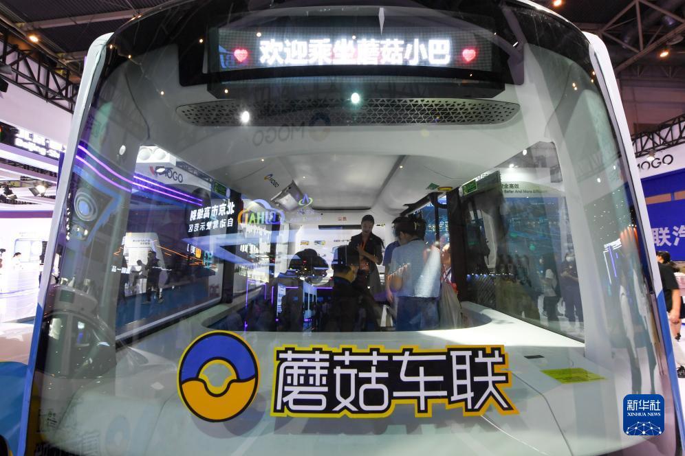 彩金白菜网论坛